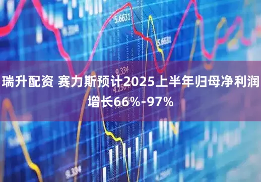 瑞升配资 赛力斯预计2025上半年归母净利润增长66%-97%
