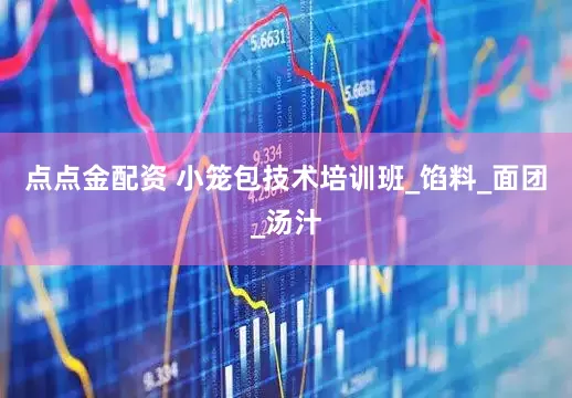 点点金配资 小笼包技术培训班_馅料_面团_汤汁